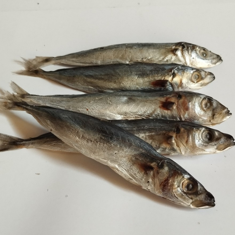 

Ikan Asin Layang Kecil Khas Pantura Nikmat Murah