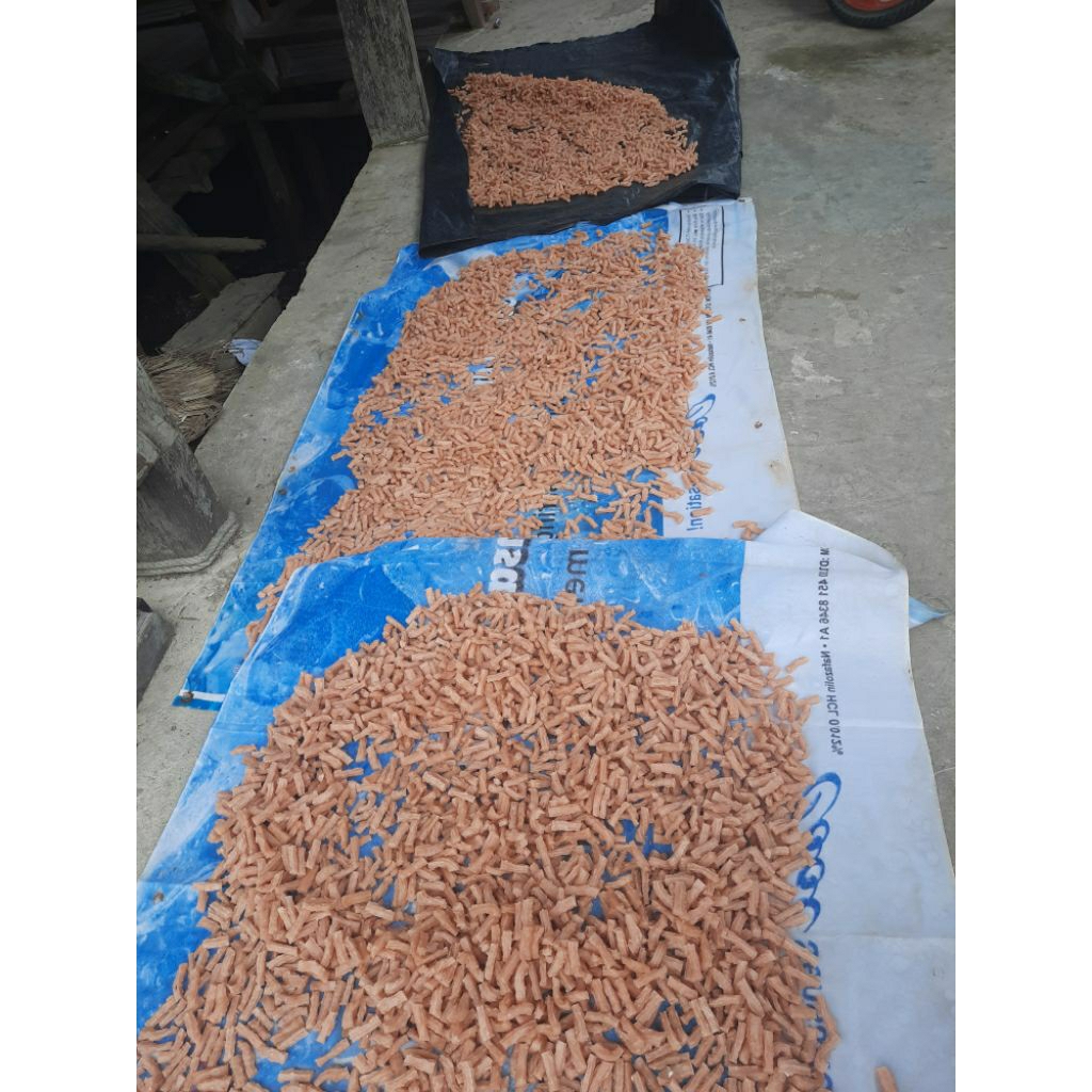 

TEKWAN UDANG BOTOR KERING