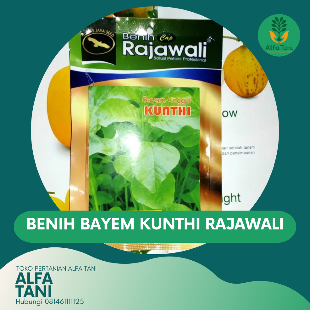 Benih Bayam Kunthi dari cap Rajawali