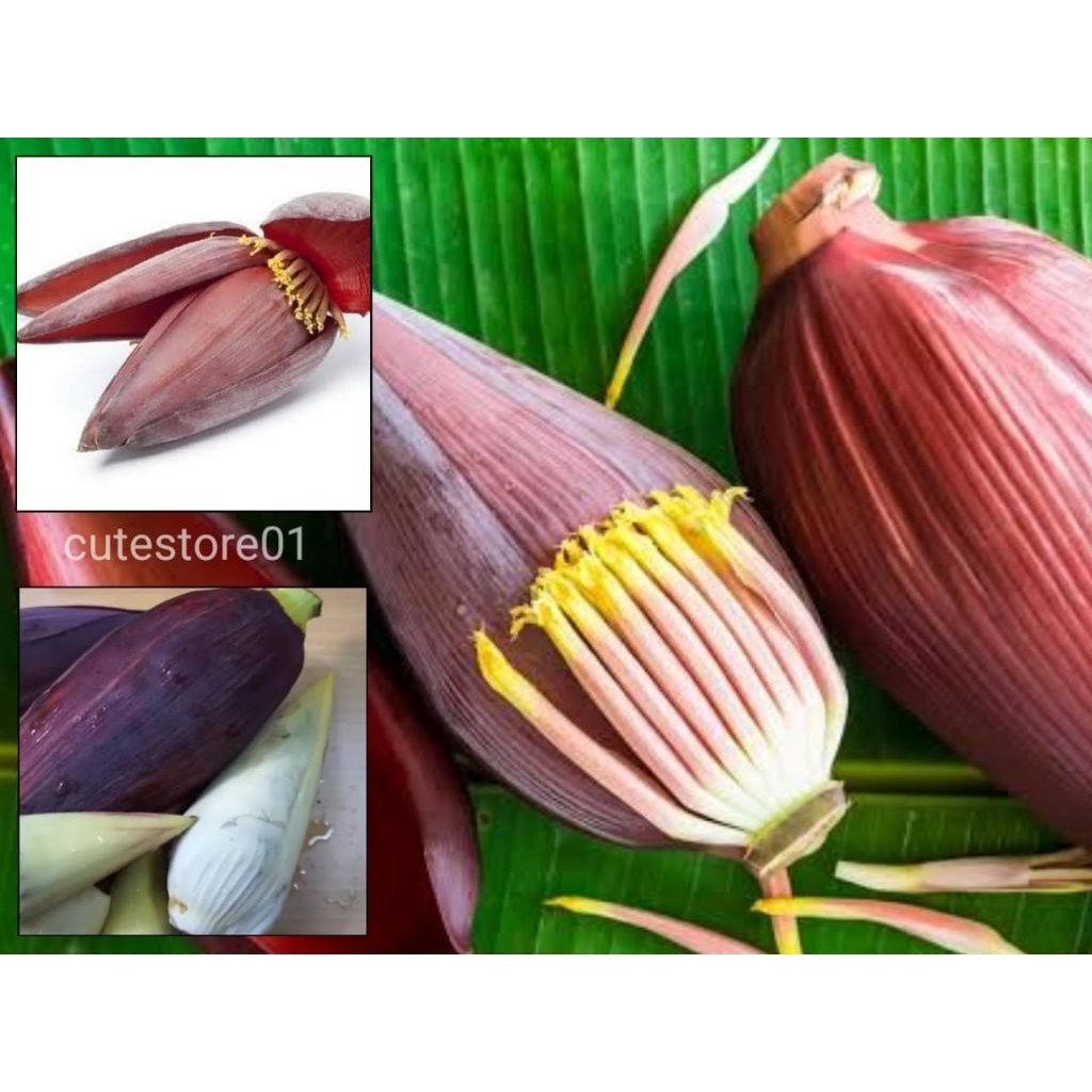 

Jantung Pisang Sayur 1pcs