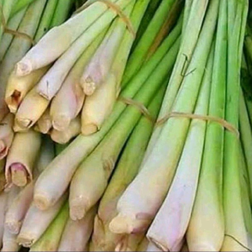 

sereh masak 500 gram