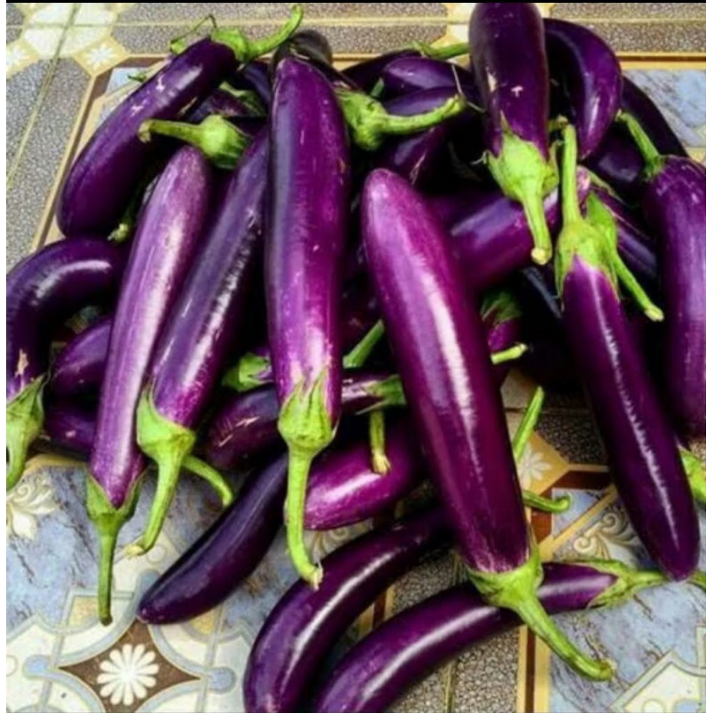 

Terong Ungu Segar Untuk Berbagai Macam Olahan Makanan 500 gram