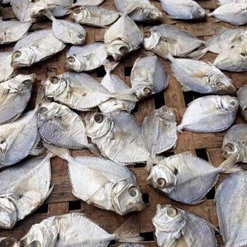 

ikan asin petek