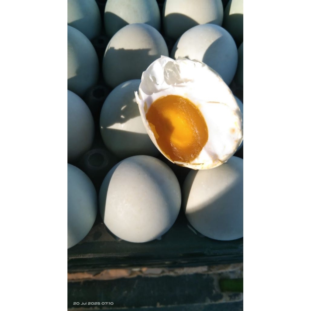 

Assyifah Telur - 1 Butir Telur Bebek Asin Premium