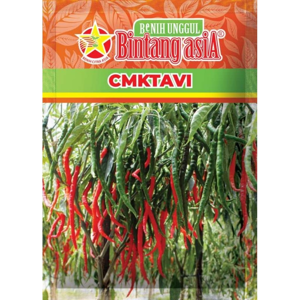 

Bibit Cabe keriting CMKTAVI Bintang Asia