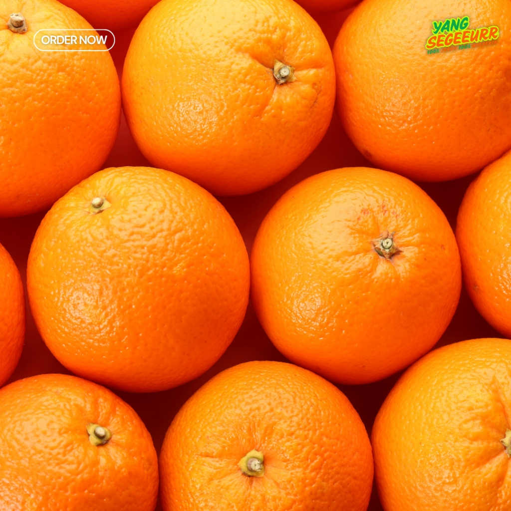

Jeruk Sunkist Navel Fresh Import 1kg Termurah Di Jaksel