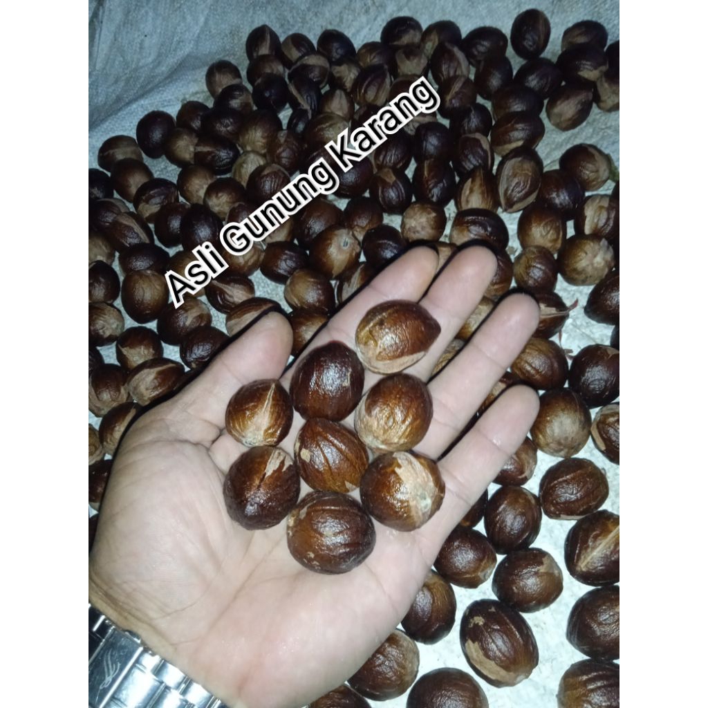 

Biji pala kering koclak langsung dari petani 1 kg
