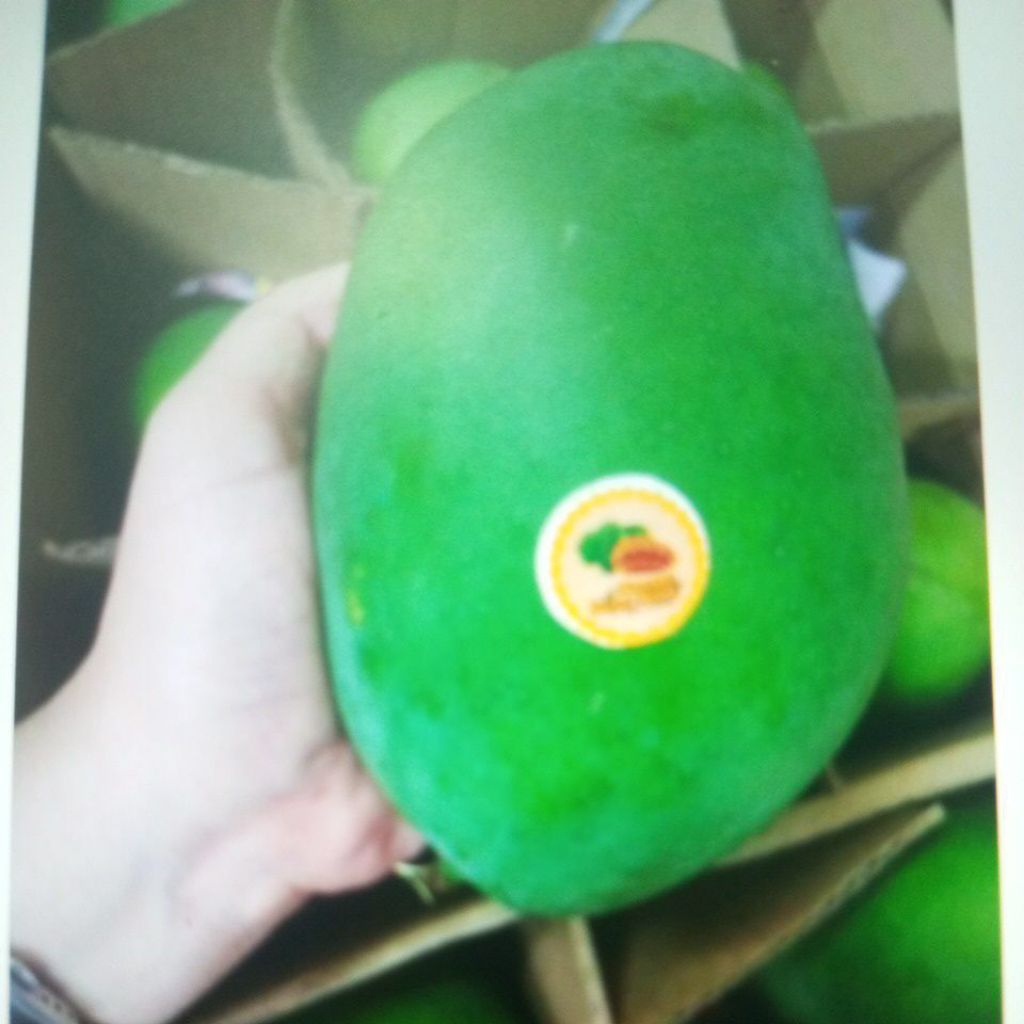 

Buah Mangga Harum Manis Fresh 1 kg