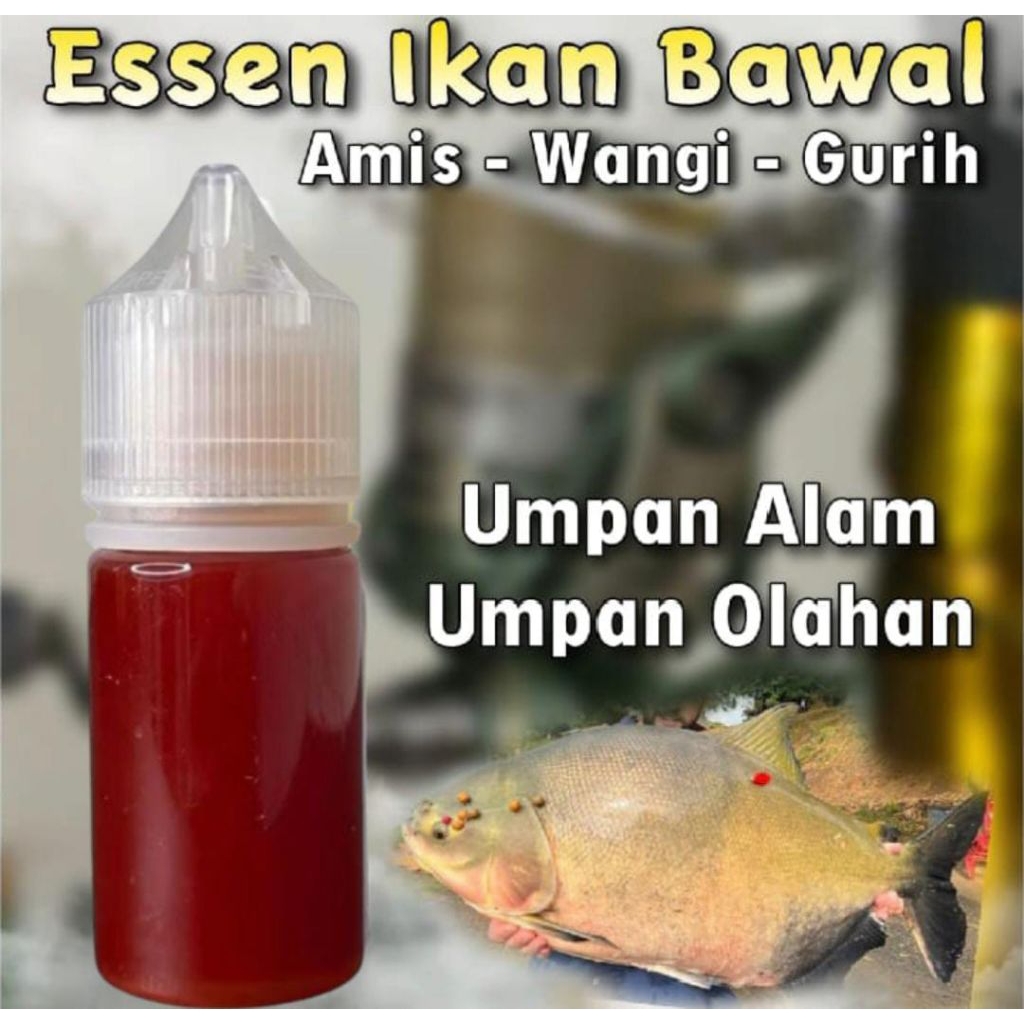 Essen Khusus Ikan Bawal Paling Gacor Media Tahu Dan Pelet , Essen Ikan Bawal Paling Jitu, Essen Ikan