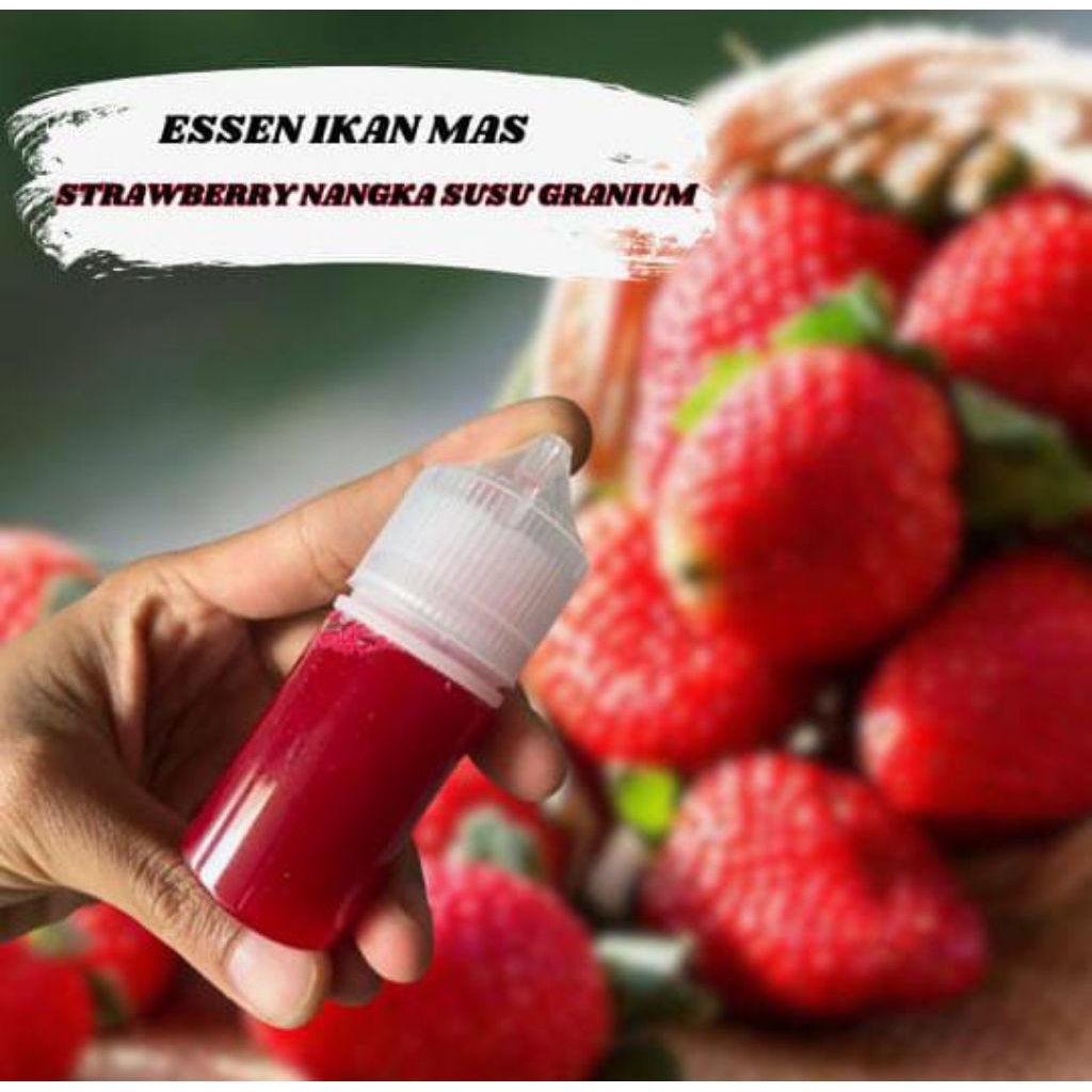 Essen ikan mas strabery nangka susu geranium essen ikan mas terlalis essen ikan mas paling jitu coco