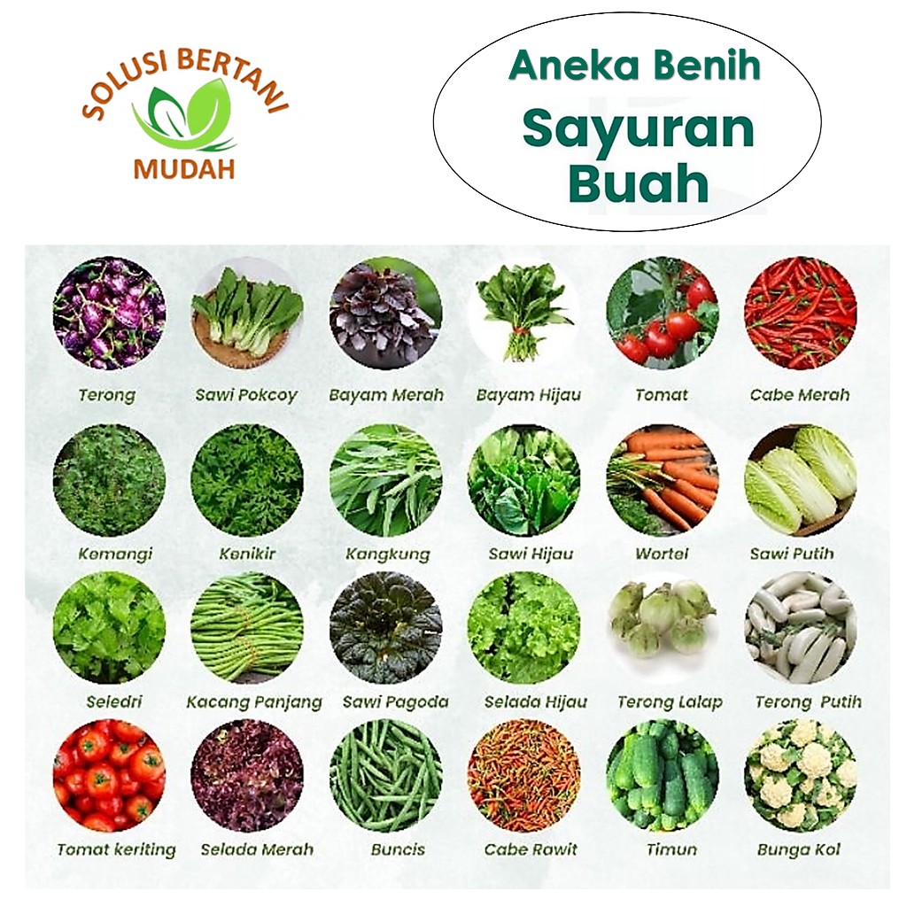 Bibit Benih Sayur Sayuran Paket Lengkap Varian Unggulan