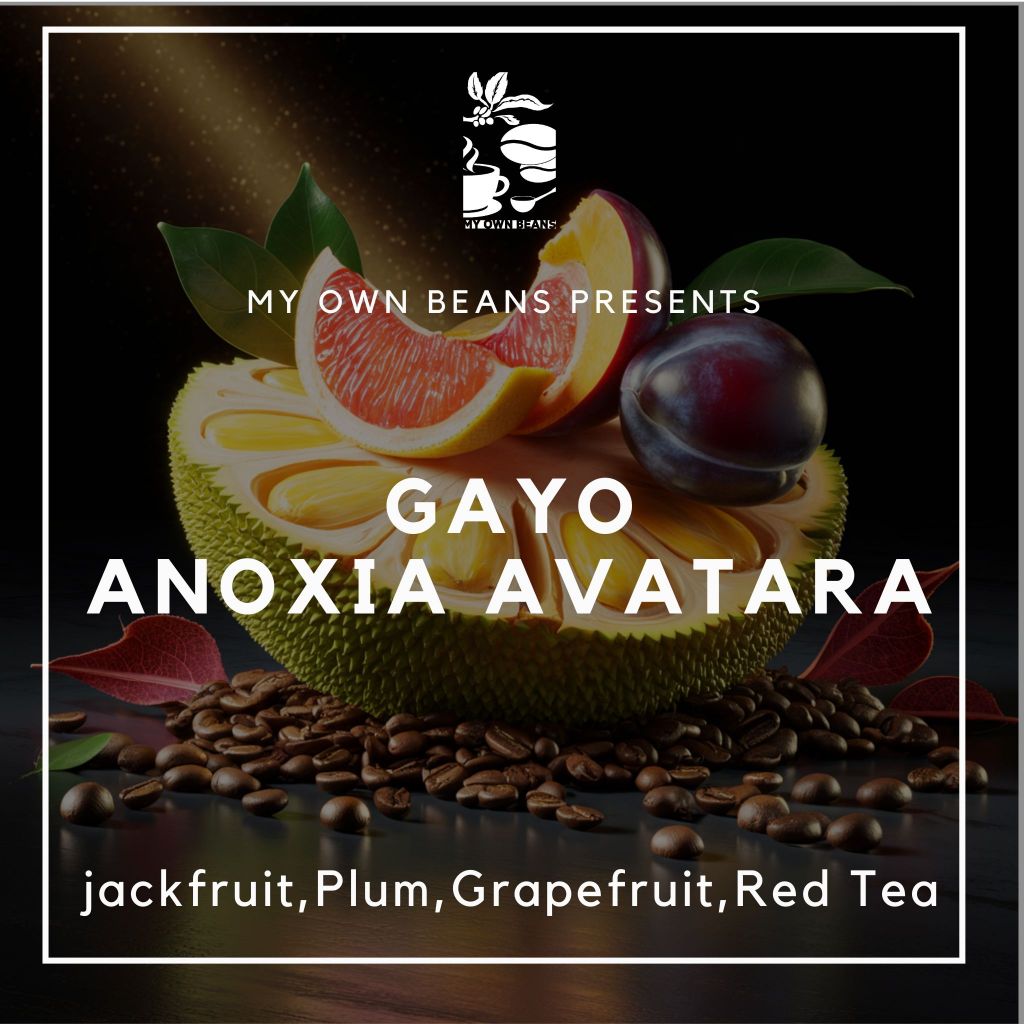 

GAYO ANOXIA AVATARA Speciality Coffee Beans BY MY OWN BEANS