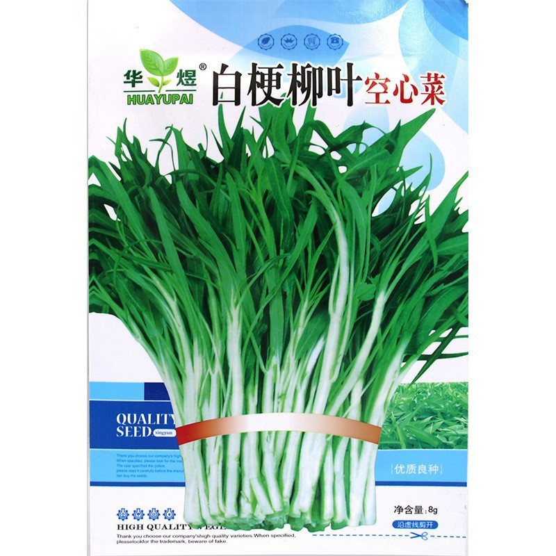 Benih Kangkung Air Super  Hidroponik 100 biji F1 Import