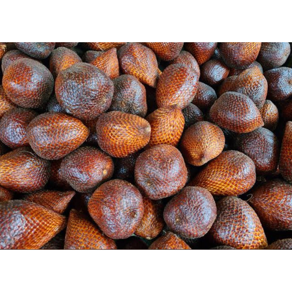 

SALAK 1kg FRESH