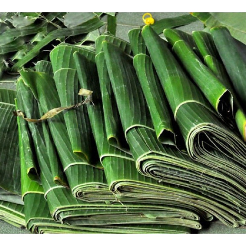 

DAUN PISANG SEGAR 500 gram SIAP PAKAI UNTUK BUNGKUS NASI DAN OLAHAN MAKANAN