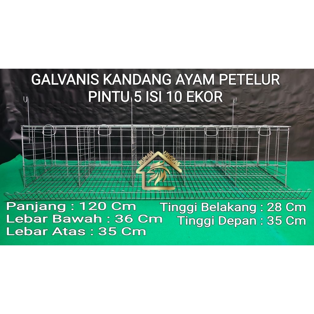 KANDANG LAYER AYAM PETELUR 5 PINTU ISI 10 EKOR GALVANIS