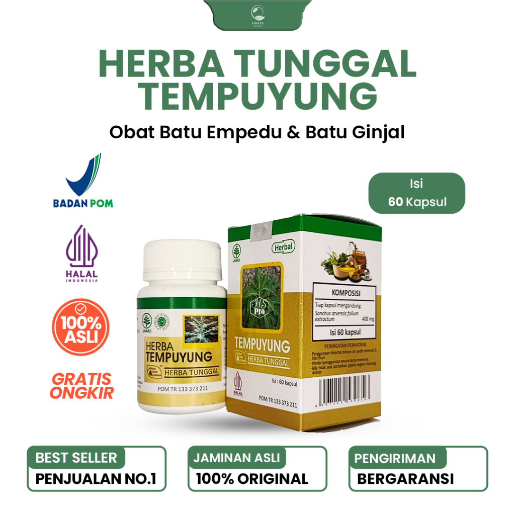 KAPSUL TEMPUYUNG HIU ORIGINAL | OBAT BATU EMPEDU | BATU GINJAL
