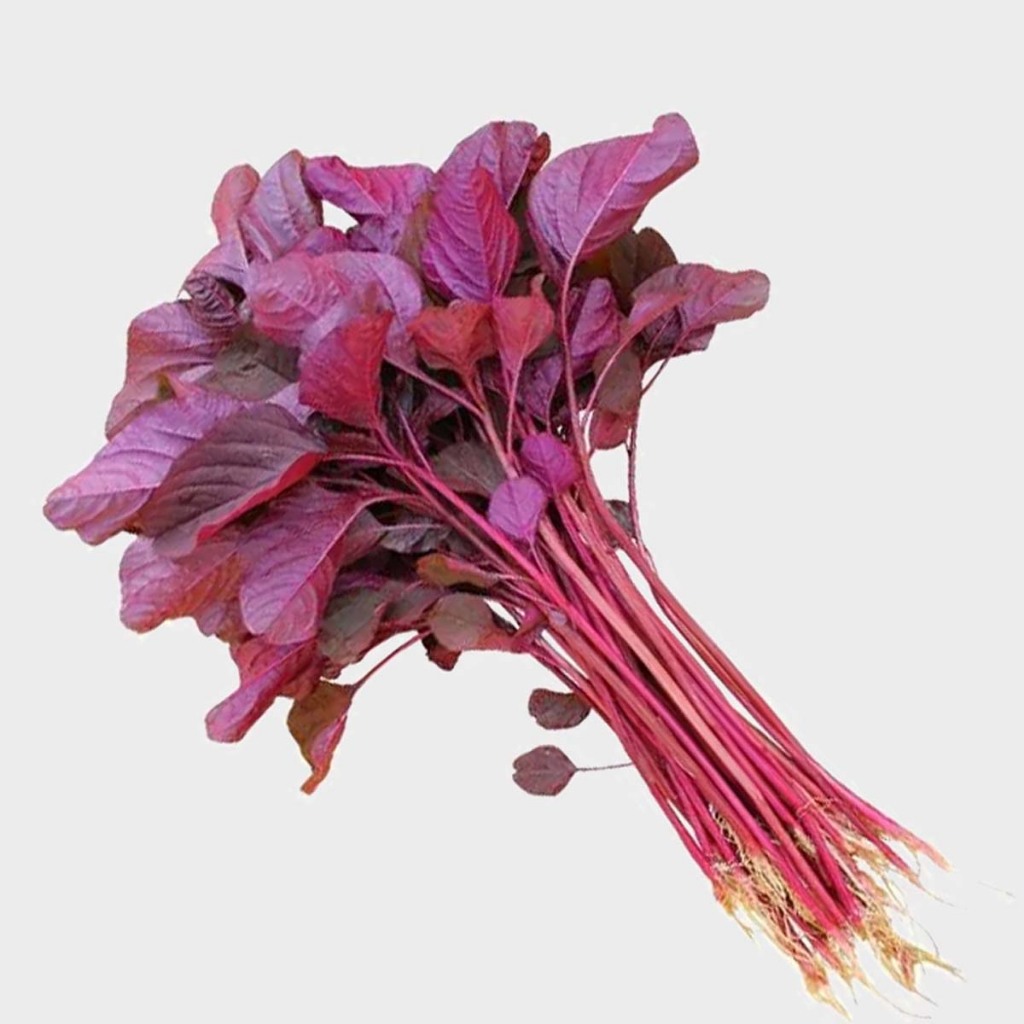 

Bayam Merah Segar Bersih Siap Masak