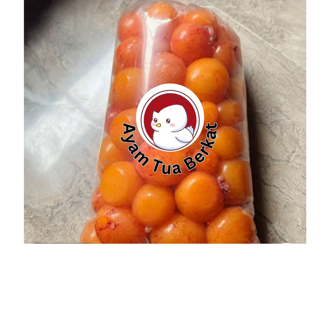 Telur Muda Ayam Tua/ peren/ Uritan galatama mancing