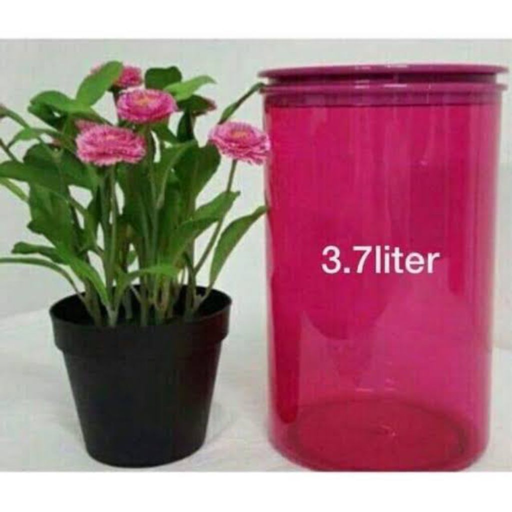 Jolly Keeper Tupperware - Magenta