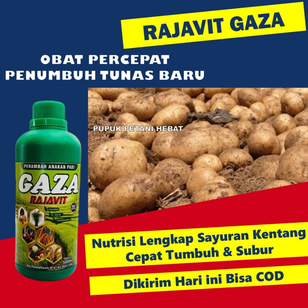 Rajavit NPK Cair 500ml untuk Kentang | Pupuk Akar & Umbi Besar | Percepat Pertumbuhan Kentang Subur 