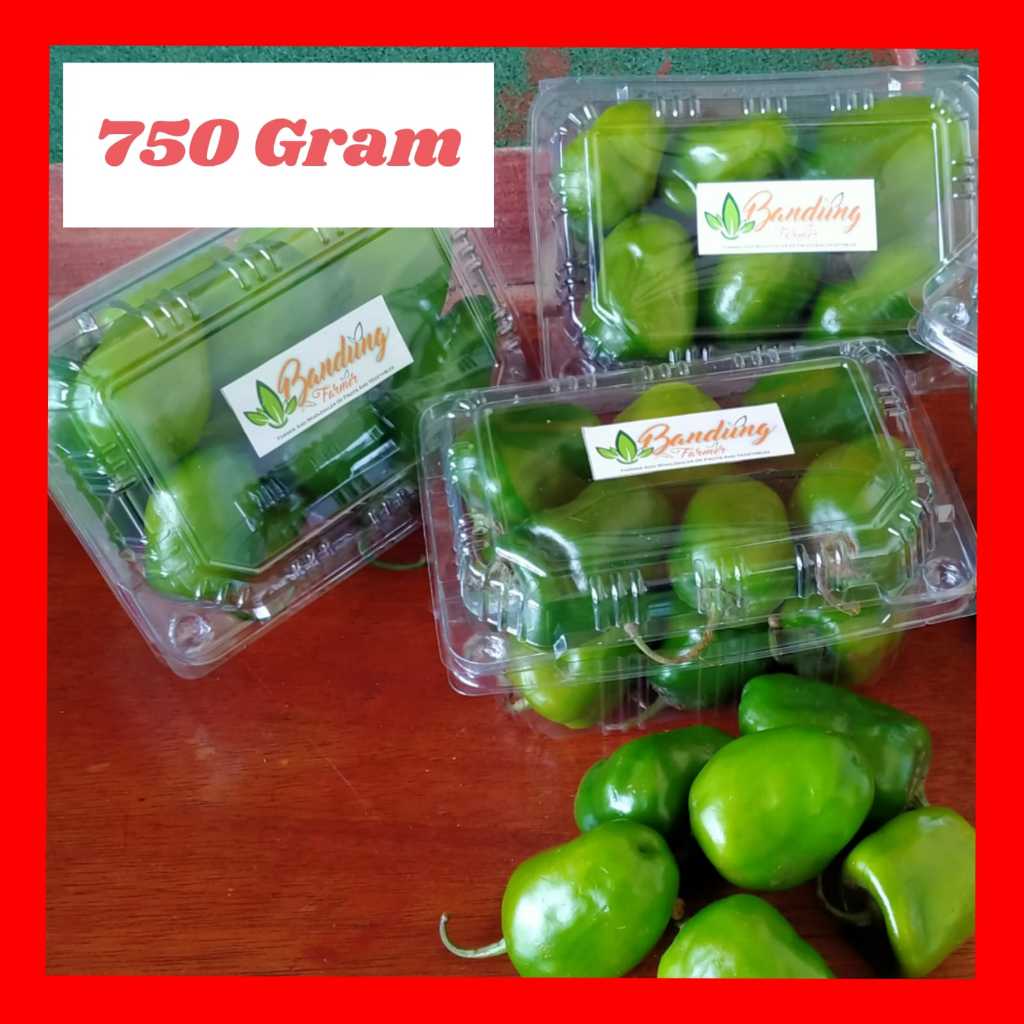 

CABE GENDOT 750 GRAM FRESH SEGAR / CABAI 750 GR
