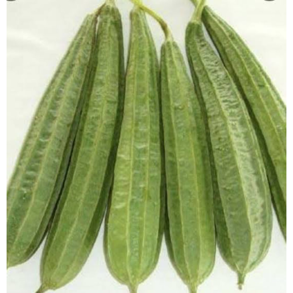 

OYONG/ KESEK / GAMBAS (500 gram)