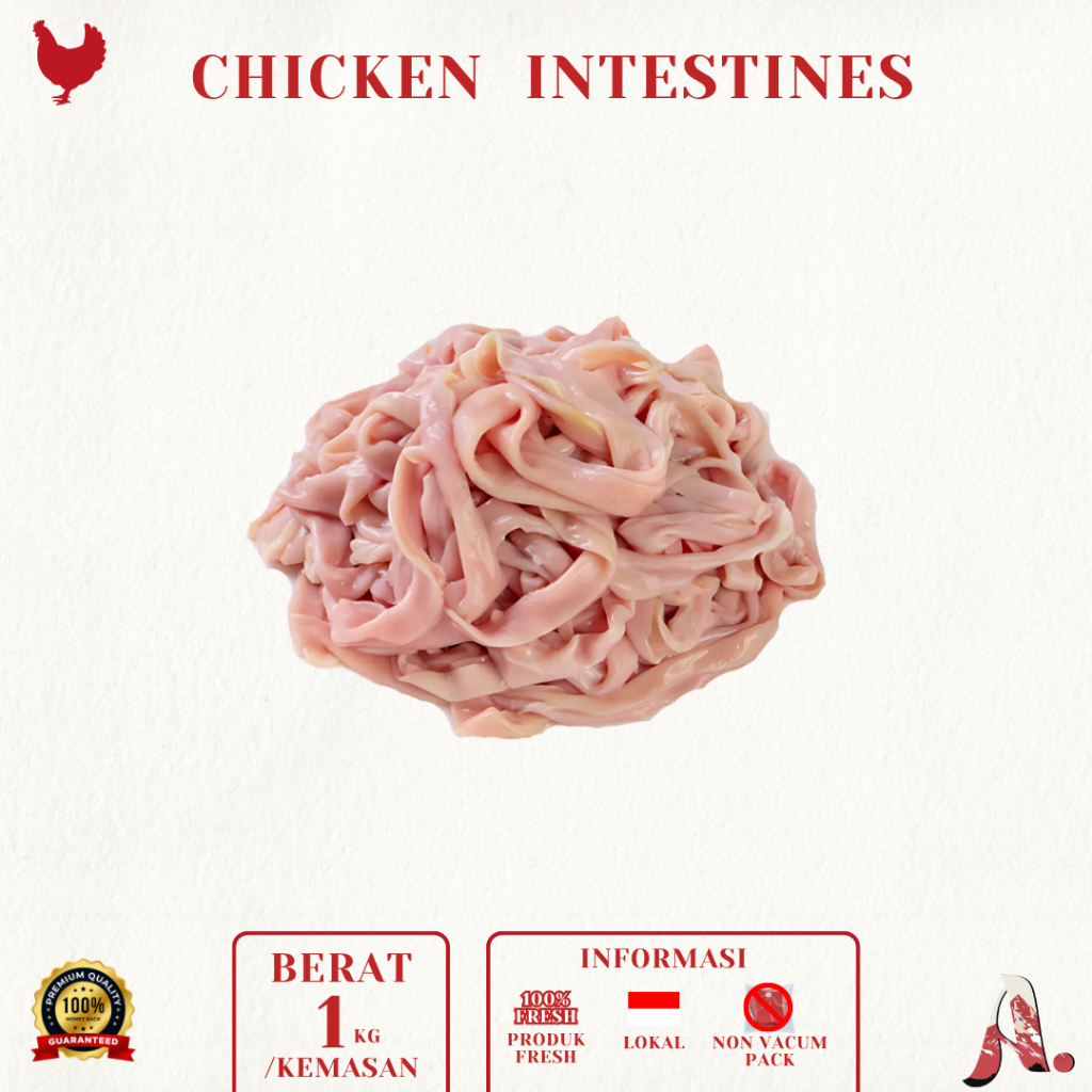 

Usus Ayam Segar / Chicken Intestines Fresh /Daging Ayam Potong Segar