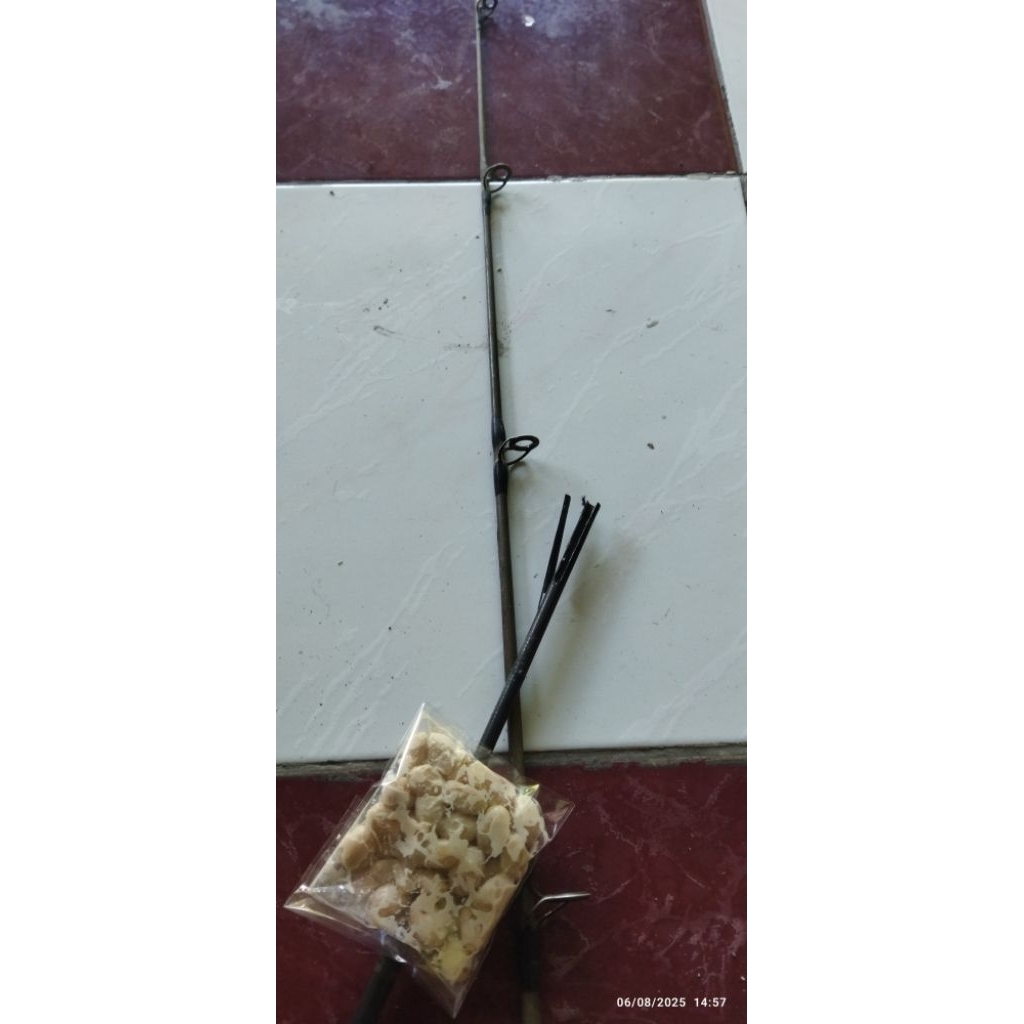 biji jarak fermentasi umpan bawal babon