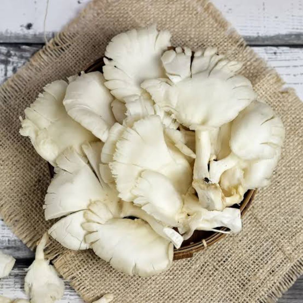 

Jamur Enoki 2 bungkus Fresh (Sayuran Segar)