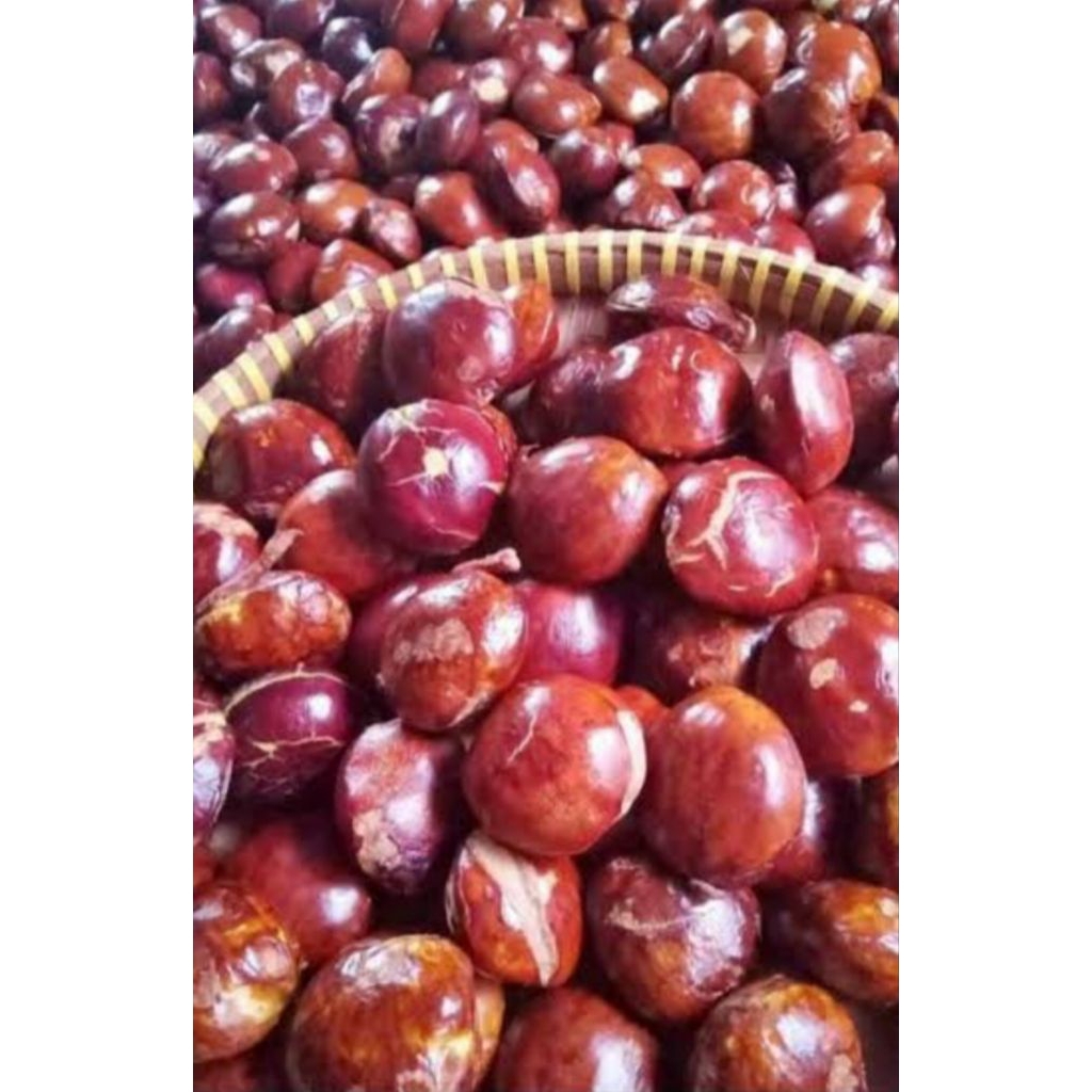 

jengkol tua/jengkol sayur/jengkol rendang