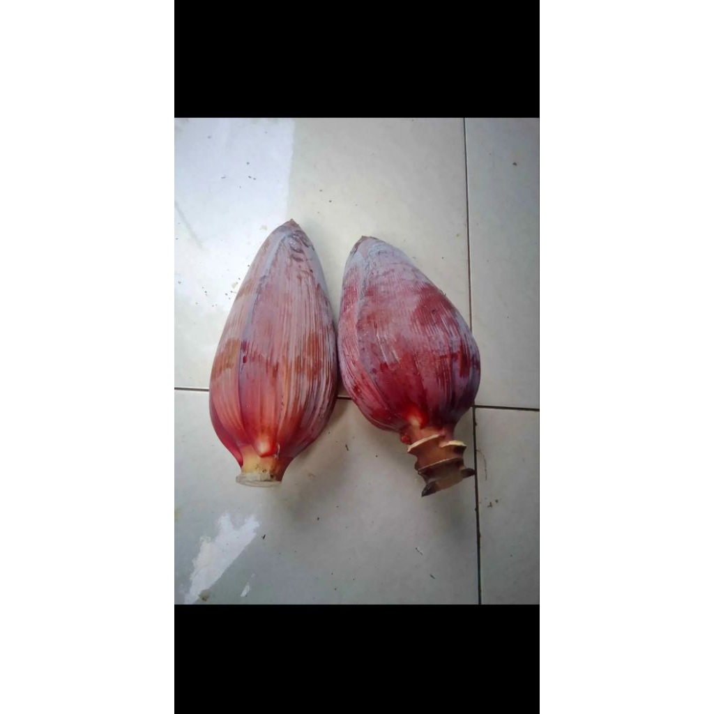 

SAYUR JANTUNG PISANG