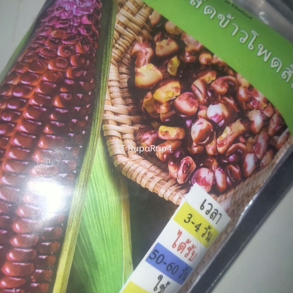 

flash sale produk random sesuai gambar varian terlaris termurah