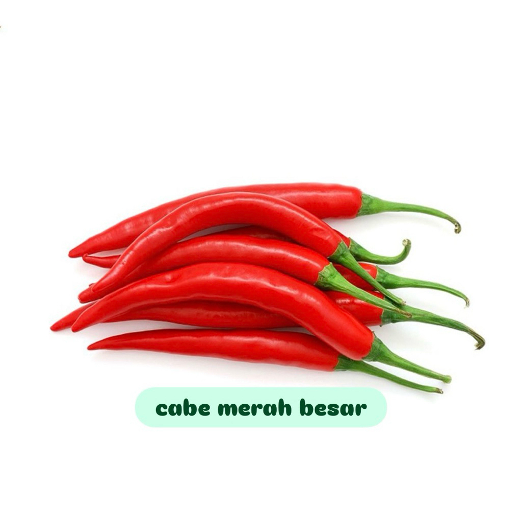 

Cabe merah besar fresh 250gr/500gr/1kg