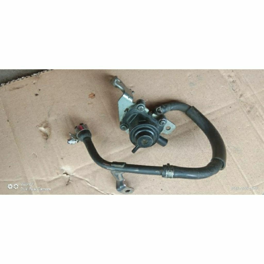 Ais mio sporty/ smile copotan original