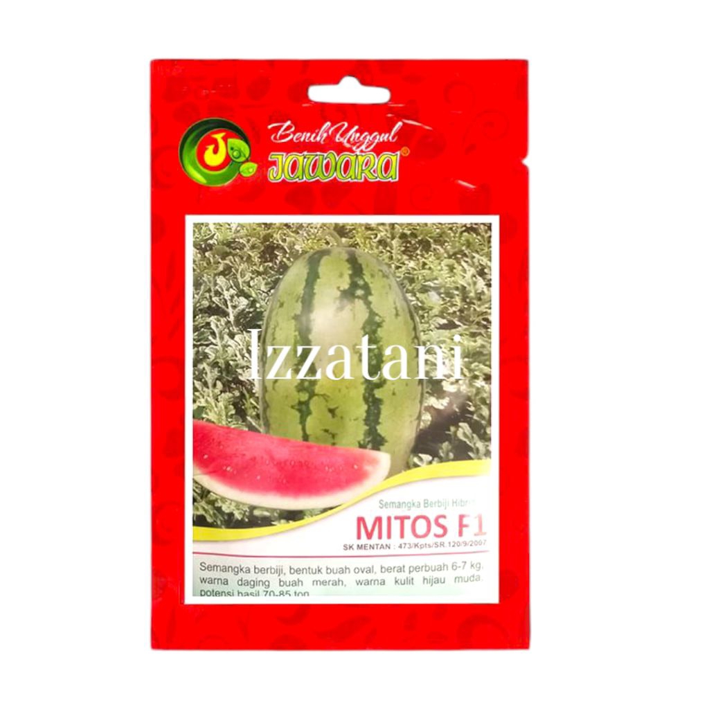 Benih Semangka Berbiji Mitos F1 Semangka Loreng Bibit Semangka