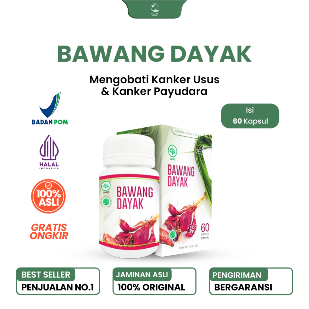 HERBAL KAPSUL BAWANG DAYAK ORIGINAL