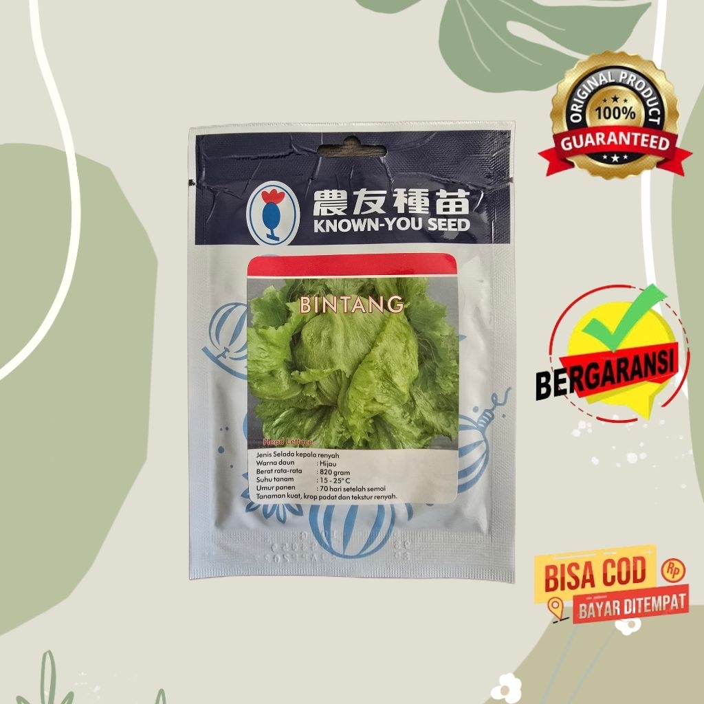 Benih Lettuce Bintang Know You Seed 10 Gram