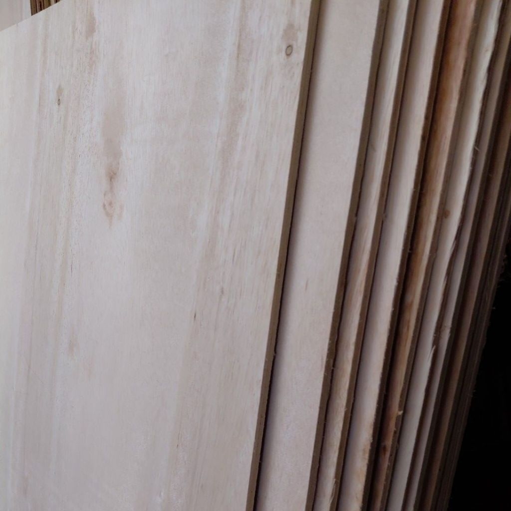 plywood  9 mm 100x60