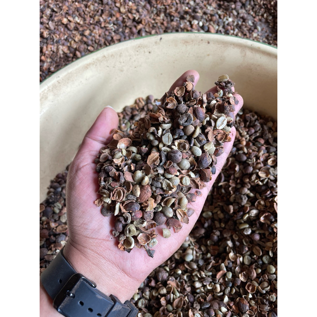 

menir kopi robusta mentah 1 kg