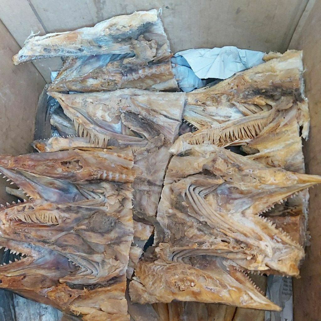 

kepala ikan tenggiri 1kg