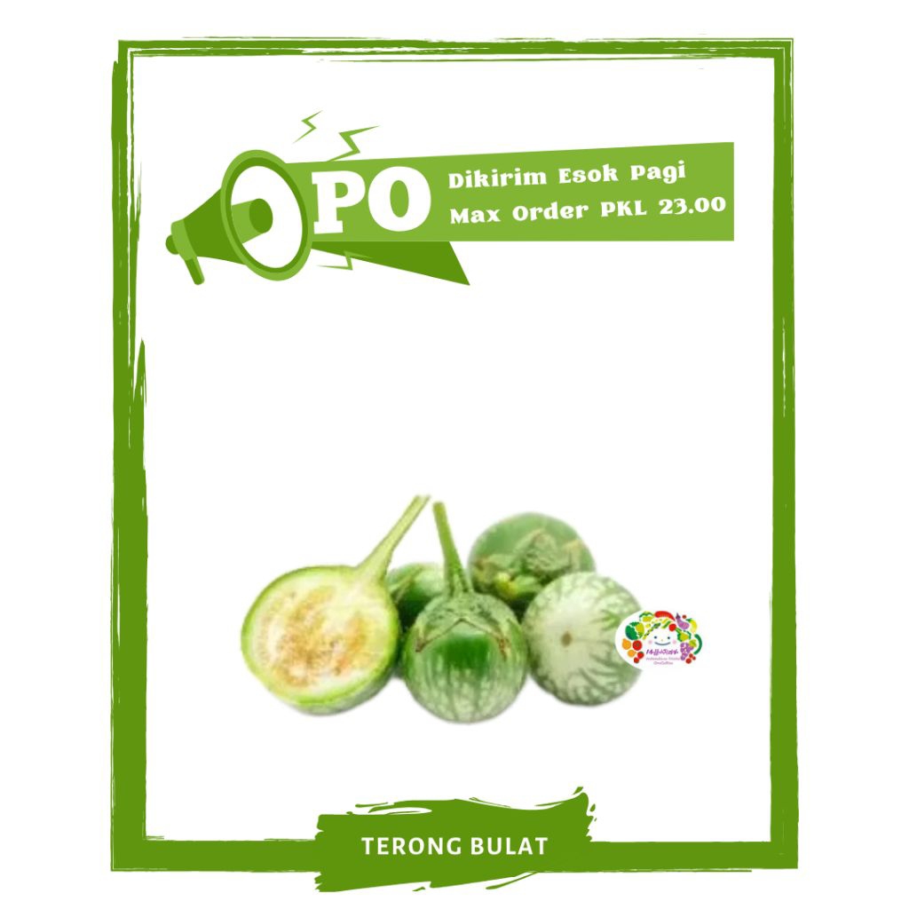 

Terong Lalap Bulat Hijau / Sayur Sayuran Segar PO Mallahrizwa