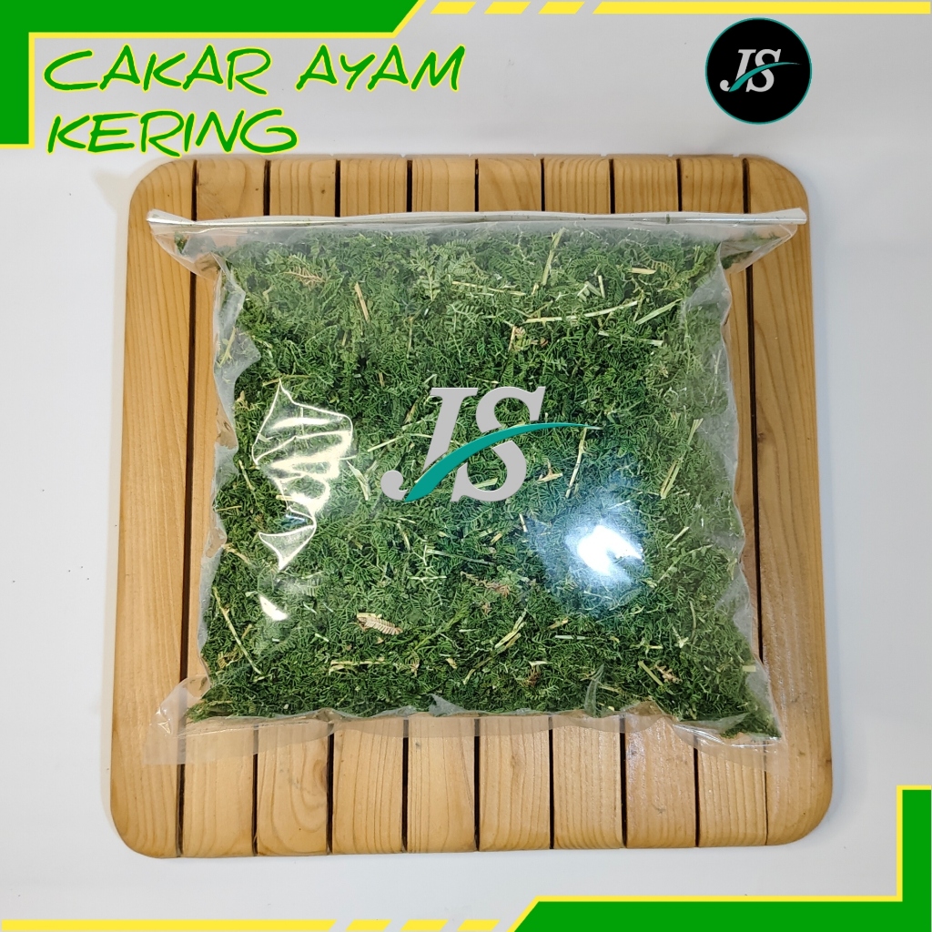 

Daun Cakar Ayam Kering (500 Gram) Rane / Ceker Pitik