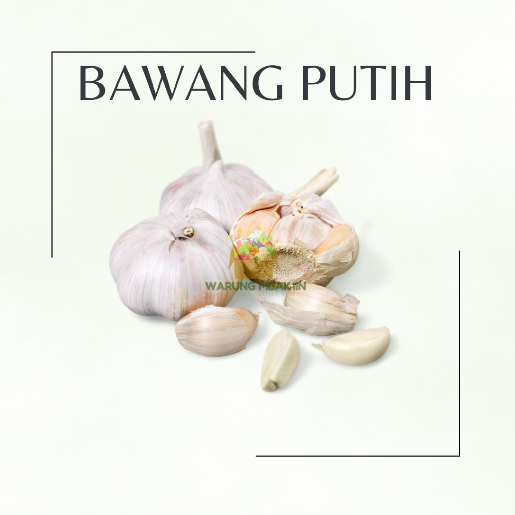 

BAWANG PUTIH UTUH per 100 GRAM / 250 GRAM