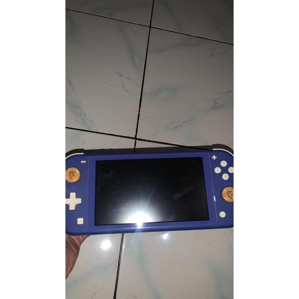 NINTENDO SWITCH LITE CFW