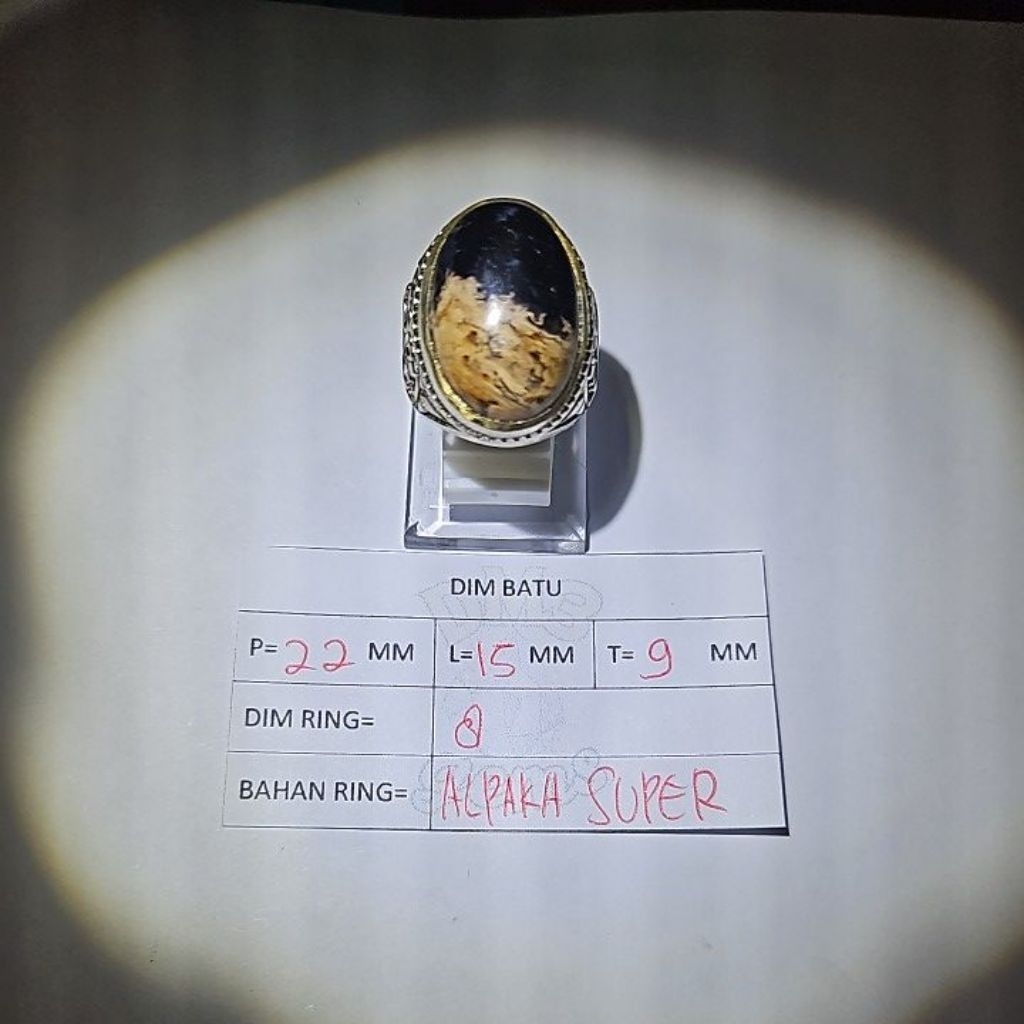 Cincin Batu Fosil Kelor Premium