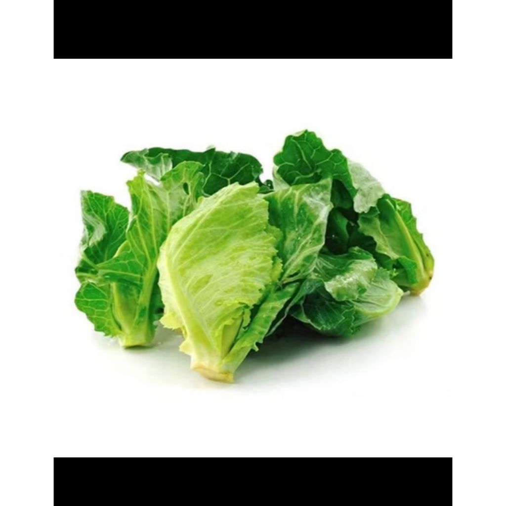 

Ciciwis 250gr Sayur Segar Murah