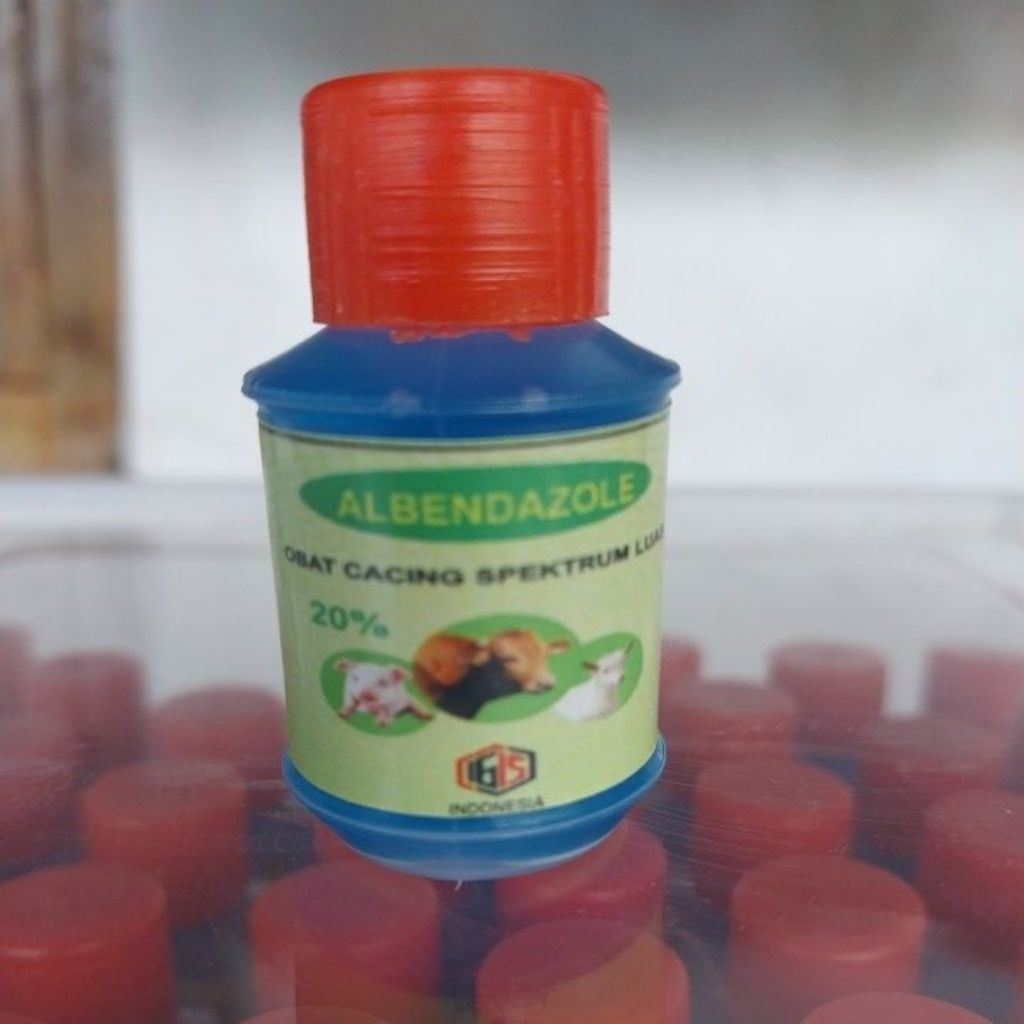 Albenol obat cacing sapi kambing