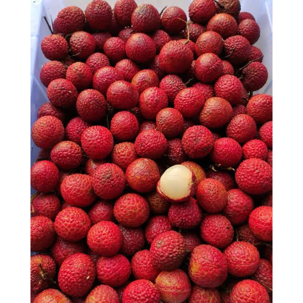 

EXPRESS DELIVERY Buah Lychee / Leci import madu leychee MERAH Manis 1PACK(500GR) TOKO BUAH SEGAR SURABAYA