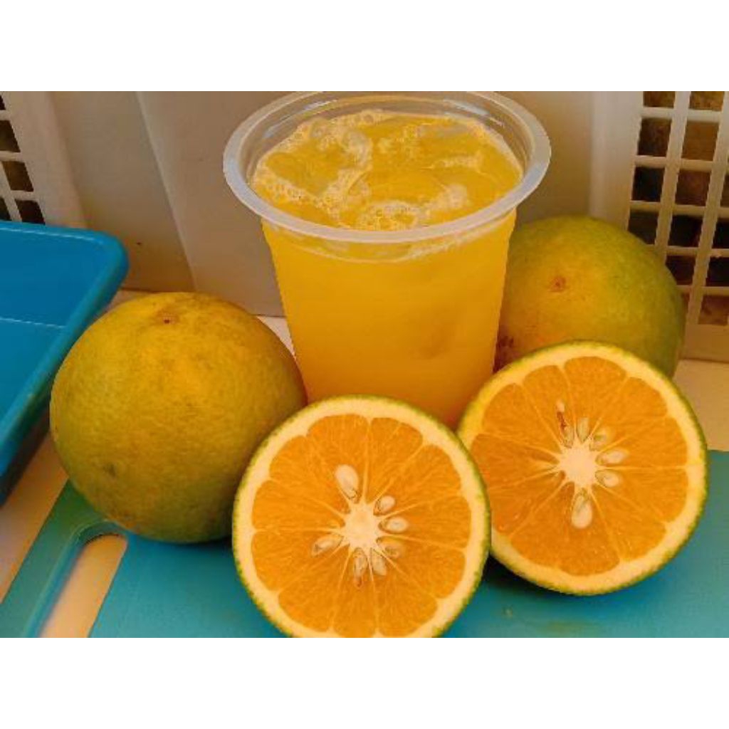 

Jeruk Dingin Fresh (Minuman Siap Saji)